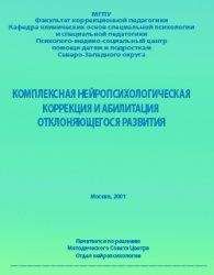 Читайте книги онлайн на Bookidrom.ru! Бесплатные книги в одном клике Анна Семенович - Комплексная нейропсихологическая коррекция и абилитация отклоняющегося развития — 1