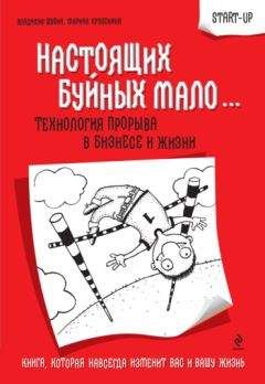 Читайте книги онлайн на Bookidrom.ru! Бесплатные книги в одном клике Владимир Шубин - Настоящих буйных мало... Технология прорыва в бизнесе и жизни