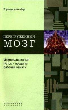 Читайте книги онлайн на Bookidrom.ru! Бесплатные книги в одном клике Торкель Клингберг - Перегруженный мозг. Информационный поток и пределы рабочей памяти