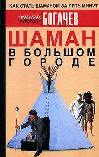 Читайте книги онлайн на Bookidrom.ru! Бесплатные книги в одном клике Филипп Богачев - Шаман в большом городе