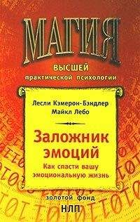 Читайте книги онлайн на Bookidrom.ru! Бесплатные книги в одном клике Майкл Лебо - Заложник эмоций