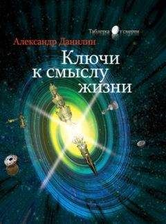 Читайте книги онлайн на Bookidrom.ru! Бесплатные книги в одном клике Александр Данилин - Ключи к смыслу жизни