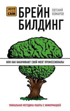 Читайте книги онлайн на Bookidrom.ru! Бесплатные книги в одном клике Евгений Комаров - Брейнбилдинг, или Как накачивают свой мозг профессионалы