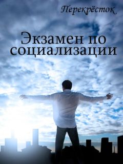 Читайте книги онлайн на Bookidrom.ru! Бесплатные книги в одном клике Оксана Алексеева - Экзамен по социализации