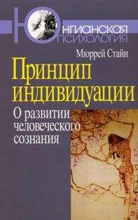 Читайте книги онлайн на Bookidrom.ru! Бесплатные книги в одном клике Мюррей Стайн - Принцип индивидуации. О развитии человеческого сознания