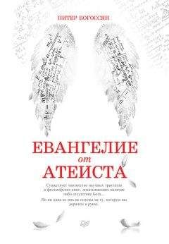 Читайте книги онлайн на Bookidrom.ru! Бесплатные книги в одном клике Питер Богоссян - Евангелие от атеиста