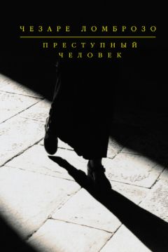 Читайте книги онлайн на Bookidrom.ru! Бесплатные книги в одном клике Чезаре Ломброзо - Политическая преступность