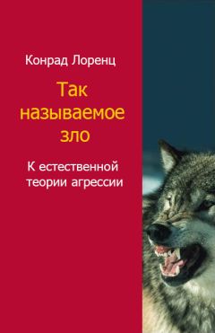 Читайте книги онлайн на Bookidrom.ru! Бесплатные книги в одном клике Лоренц Конрад - Так называемое зло