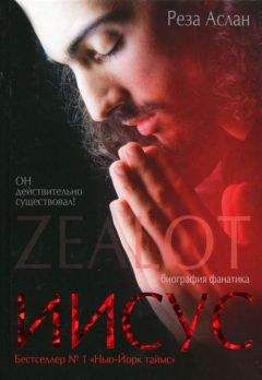 Читайте книги онлайн на Bookidrom.ru! Бесплатные книги в одном клике Реза Аслан - Zealot. Иисус: биография фанатика