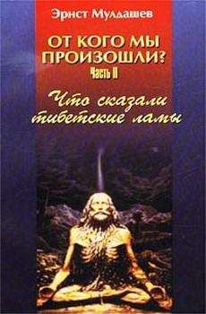 Эрнст Мулдашев - Что сказали тибетские ламы