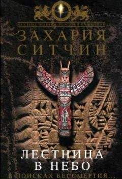 Читайте книги онлайн на Bookidrom.ru! Бесплатные книги в одном клике Захария Ситчин - Лестница в небо. В поисках бессмертия