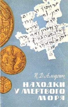 Читайте книги онлайн на Bookidrom.ru! Бесплатные книги в одном клике Иосиф Амусин - Находки у Мёртвого моря