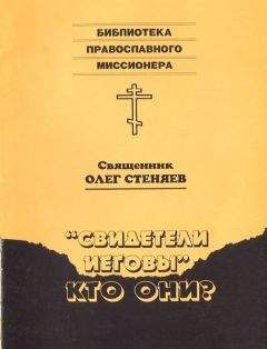 Читайте книги онлайн на Bookidrom.ru! Бесплатные книги в одном клике Священник Стеняев - "Свидетели Иеговы" - кто они?