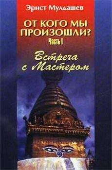 Читайте книги онлайн на Bookidrom.ru! Бесплатные книги в одном клике Эрнст Мулдашев - Встреча с мастером