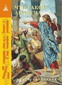 Читайте книги онлайн на Bookidrom.ru! Бесплатные книги в одном клике Сборник - Что такое анафема