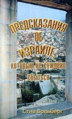 Читайте книги онлайн на Bookidrom.ru! Бесплатные книги в одном клике Стив Вольберг - Стив Вольберг Предсказания об Израиле, которым не суждено сбыться