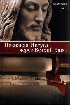 Читайте книги онлайн на Bookidrom.ru! Бесплатные книги в одном клике Кристофер Райт - Познавая Иисуса через Ветхий Завет