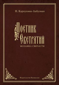 Читайте книги онлайн на Bookidrom.ru! Бесплатные книги в одном клике Нелли Карпухина-Лабузная - Постник Евстратий: Мозаика святости