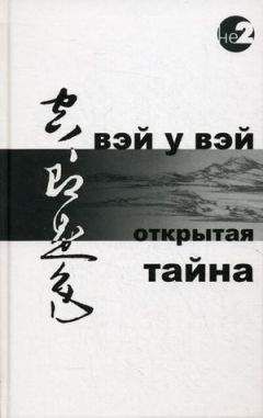 Читайте книги онлайн на Bookidrom.ru! Бесплатные книги в одном клике Вэй У Вэй - ОТКРЫТАЯ ТАЙНА