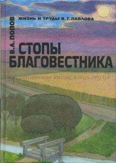 Читайте книги онлайн на Bookidrom.ru! Бесплатные книги в одном клике Владимир Попов - Стопы благовестника