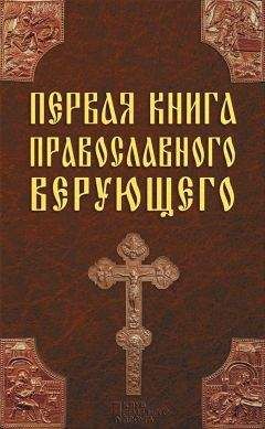 Павел Михалицын - Первая книга православного верующего