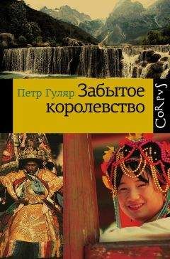 Читайте книги онлайн на Bookidrom.ru! Бесплатные книги в одном клике Петр Гуляр - Забытое королевство