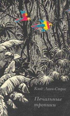 Читайте книги онлайн на Bookidrom.ru! Бесплатные книги в одном клике Клод Леви-Стросс - Печальные тропики