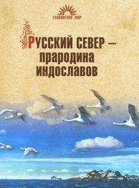 Читайте книги онлайн на Bookidrom.ru! Бесплатные книги в одном клике Наталья Гусева - Русский Север – прародина индославов