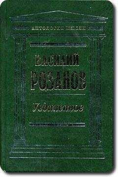 Читайте книги онлайн на Bookidrom.ru! Бесплатные книги в одном клике Василий Розанов - Легенда о Великом Инквизиторе Ф. М. Достоевского. Опыт критического комментария