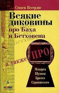 Читайте книги онлайн на Bookidrom.ru! Бесплатные книги в одном клике Стивен Иссерлис - Всякие диковины про Баха и Бетховена