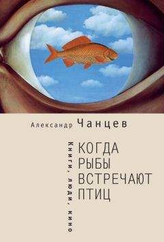 Читайте книги онлайн на Bookidrom.ru! Бесплатные книги в одном клике Александр Чанцев - Когда рыбы встречают птиц. Люди, книги, кино