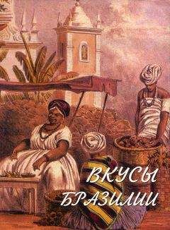 Читайте книги онлайн на Bookidrom.ru! Бесплатные книги в одном клике Эдди Столс - Вкусы Бразилии