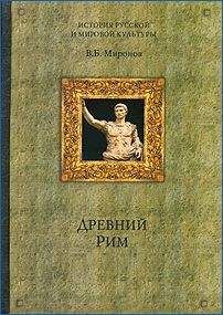 Читайте книги онлайн на Bookidrom.ru! Бесплатные книги в одном клике Владимир Миронов - Древний Рим