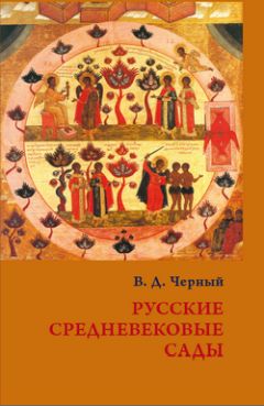 Читайте книги онлайн на Bookidrom.ru! Бесплатные книги в одном клике Валентин Черный - Русские средневековые сады: опыт классификации