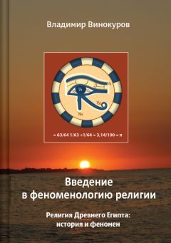 Читайте книги онлайн на Bookidrom.ru! Бесплатные книги в одном клике Владимир Винокуров - Введение в феноменологию религии