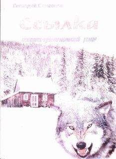 Читайте книги онлайн на Bookidrom.ru! Бесплатные книги в одном клике Геннадий Самсонов - Ссылка