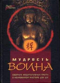 Читайте книги онлайн на Bookidrom.ru! Бесплатные книги в одном клике Павел Федотов - Мудрость воина. Сборник медитативных притч