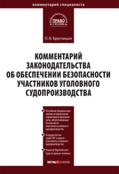 Читайте книги онлайн на Bookidrom.ru! Бесплатные книги в одном клике Леонид Брусницын - Комментарий законодательства об обеспечении безопасности участников уголовного судопроизводства