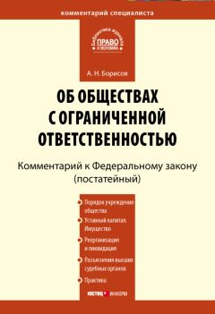 Читайте книги онлайн на Bookidrom.ru! Бесплатные книги в одном клике Александр Борисов - Комментарий к Федеральному закону «Об обществах с ограниченной ответственностью» (постатейный)