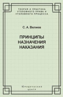 Самир Велиев - Принципы назначения наказания