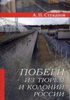 Читайте книги онлайн на Bookidrom.ru! Бесплатные книги в одном клике Александр Стуканов - Побеги из тюрем и колоний России