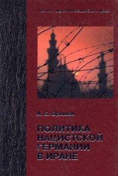 Читайте книги онлайн на Bookidrom.ru! Бесплатные книги в одном клике Александр Оришев - Политика нацистской Германии в Иране