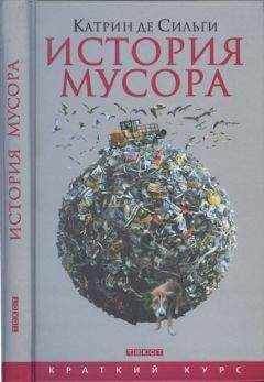 Читайте книги онлайн на Bookidrom.ru! Бесплатные книги в одном клике Катрин Сильги - История мусора.