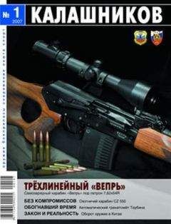 Евгений Александров - Возрождение «трёхлинейки» или современный инструмент снайпера?