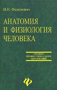 Читайте книги онлайн на Bookidrom.ru! Бесплатные книги в одном клике Н. Федюкович - Анатомия и физиология человека: Учебное пособие.