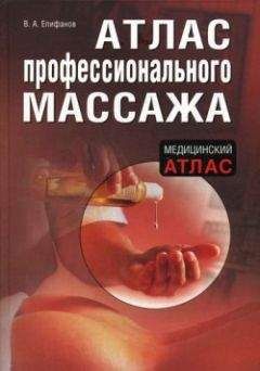 Читайте книги онлайн на Bookidrom.ru! Бесплатные книги в одном клике Виталий Епифанов - Атлас профессионального массажа