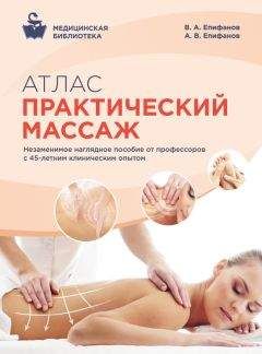 Читайте книги онлайн на Bookidrom.ru! Бесплатные книги в одном клике Александр Епифанов - Атлас. Практический массаж