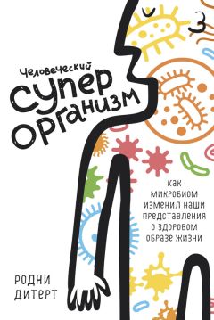 Читайте книги онлайн на Bookidrom.ru! Бесплатные книги в одном клике Родни Дитерт - Человеческий суперорганизм