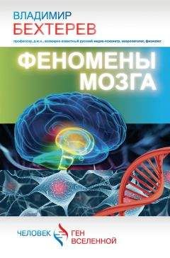 Читайте книги онлайн на Bookidrom.ru! Бесплатные книги в одном клике Владимир Бехтерев - Феномены мозга