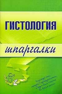 Читайте книги онлайн на Bookidrom.ru! Бесплатные книги в одном клике В. Барсуков - Гистология